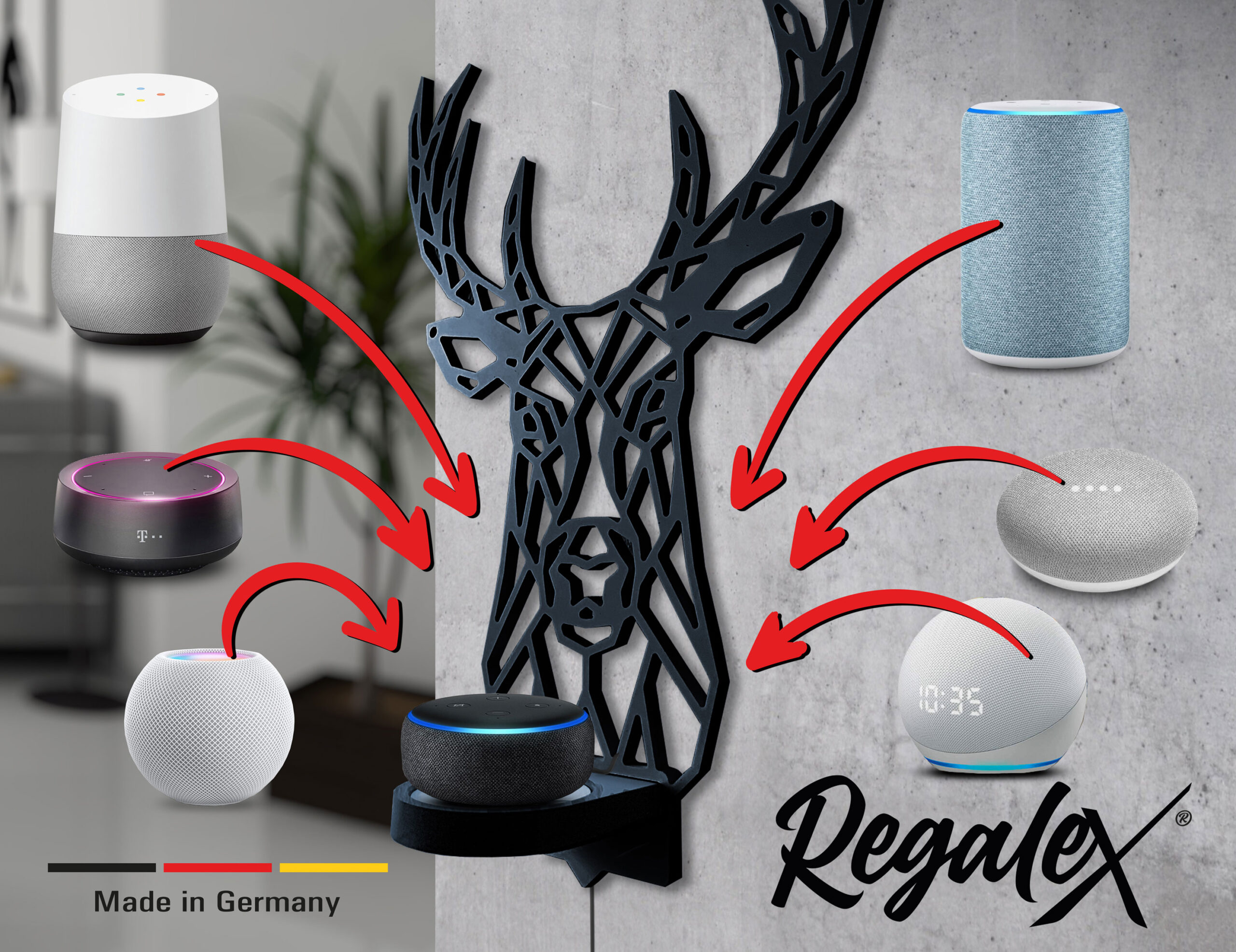 regalex_aktuell